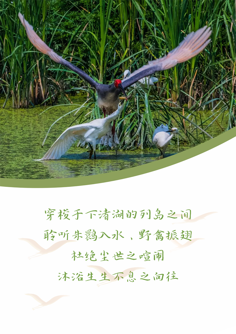 心心念廿 相伴天游ty8检测中心 | 与德清相约 贺廿载诞辰
